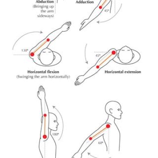 The-shoulder